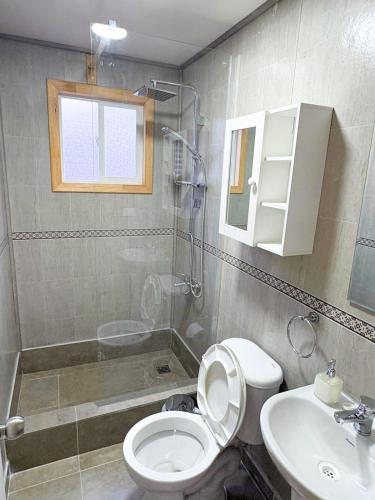 a bathroom with a shower and a toilet and a sink at Cabañas Costanera Puyuhuapi in Puerto Puyuhuapi