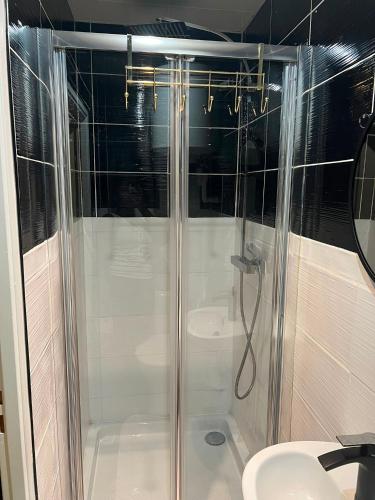 a bathroom with a shower and a sink at Résidence les Jardins Secret in Romilly-sur-Seine