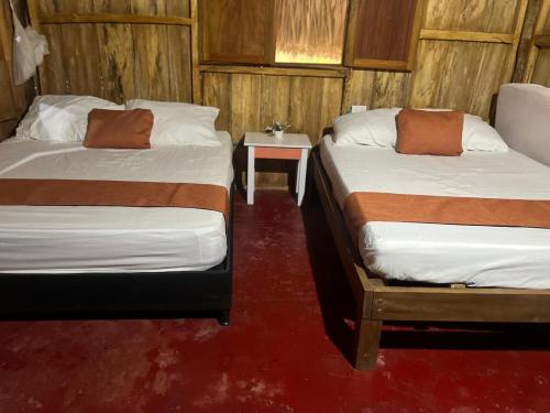 two beds in a room with red carpet at Villa Neluc in San Bernardo del Viento