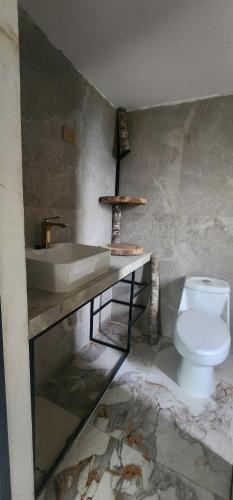 a bathroom with a sink and a toilet at Villa colibrí in Piñas