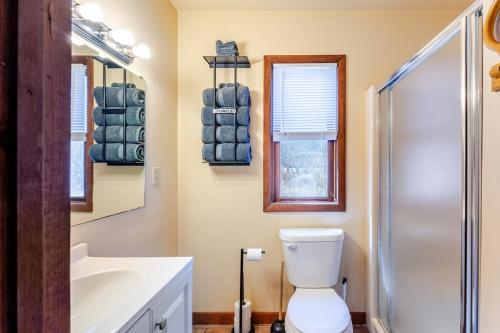a bathroom with a toilet and a sink and a shower at Ski Bowl Cottage! in Hunter