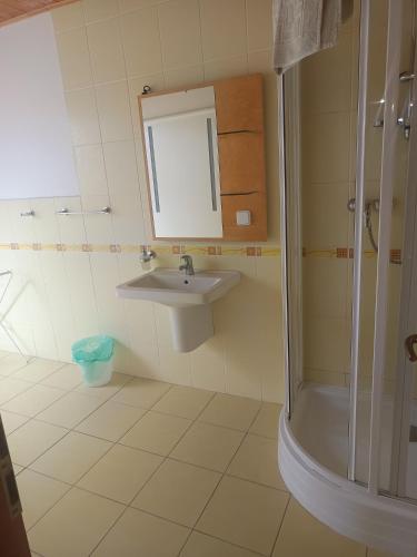 a bathroom with a sink and a shower at Čarodějnický Dvůr in Biskoupky