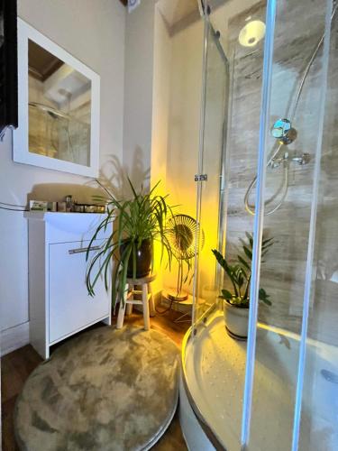 a bathroom with a shower and a table with plants at Apartamenty Traugutta 47 in Radom