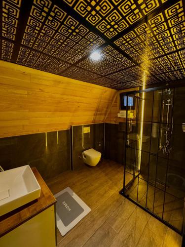 a bathroom with a shower and a toilet in a room at paşa barbun in Bartın