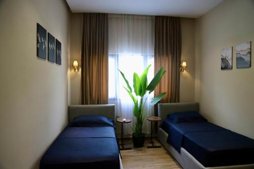 a room with two beds and a plant in it at Aries Villa Albania in Vorë
