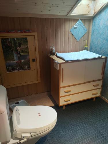 a bathroom with a toilet and a sink and a cabinet at Panorama Hotel Wagenkehr in Innertkirchen