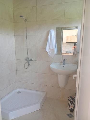 a bathroom with a sink and a toilet and a mirror at Guest house Gio in Kobuleti