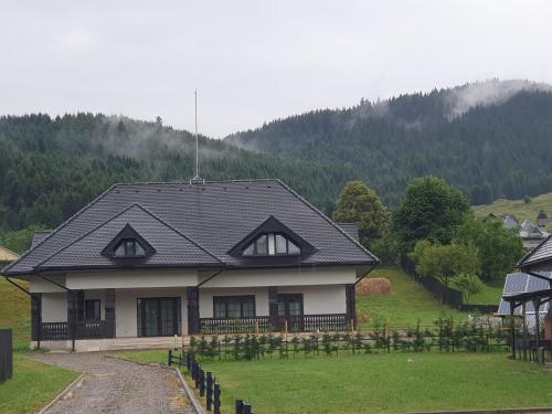 a house with a black roof on a hill at Pensiunea Mușata Bucovinei in Vama
