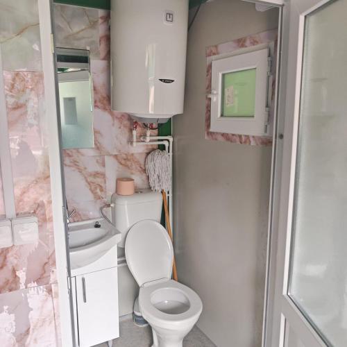 a small bathroom with a toilet and a sink at Evergreen Motto Sohodol Camping in Sohodol