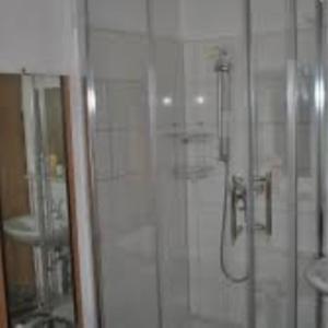 a shower in a bathroom with a glass door at Hotel zur Rennvahn in Dortmund