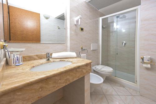 a bathroom with a sink and a toilet and a shower at Hotel Principe in Pomezia