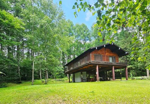 一棟貸切 自然を満喫 戸隠 長野観光 Modern Forest Chalet Togakushi Nagano