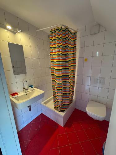 a bathroom with a sink and a toilet and a shower curtain at Rotes Haus im Havelland in Phöben