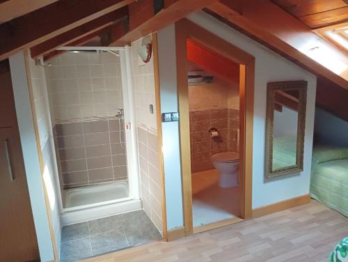 a bathroom with a shower and a toilet in a attic at La Casa deMercadillo in Liérganes