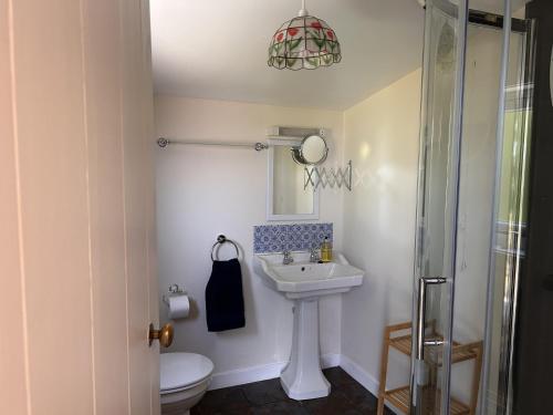 a bathroom with a sink and a toilet and a mirror at Rubybank Bothy, overlooking Loch Fyne in Strachur