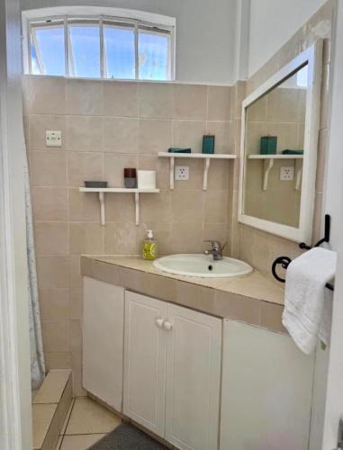 a bathroom with a sink and a mirror at Appartement hibiscus in Grand-Baie