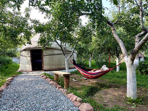 a person sleeping in a hammock in front of a dog house at Nomad Garden Camp in Cholpon-Ata