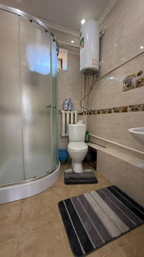 a bathroom with a shower and a toilet and a sink at Eneshka- дача in Dolinka