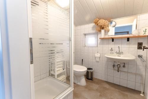 a bathroom with a shower and a toilet and a sink at Ferienhaus Steinhoff in Marsberg