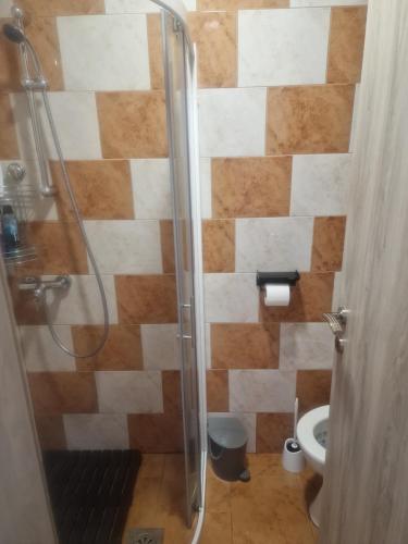 a bathroom with a shower and a toilet at Apartma Alja Podkoren in Kranjska Gora