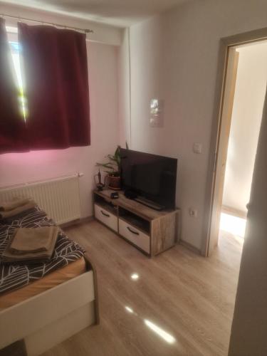 a small living room with a television and a bed at Apartma Alja Podkoren in Kranjska Gora