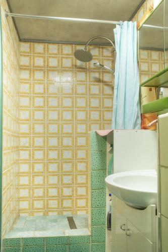 a bathroom with a shower and a sink at Chata u lesa in Prostřední Bečva