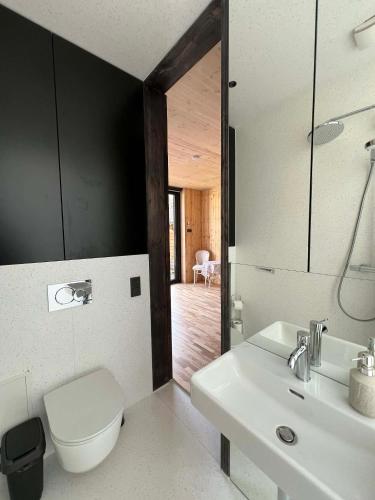 a bathroom with a toilet and a sink and a mirror at Premium homes in VNO