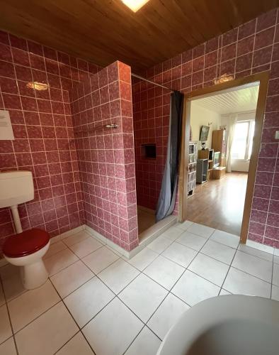 a bathroom with a toilet and a tile wall at Sommerhaus Seeblick in Klausdorf Brandenburg