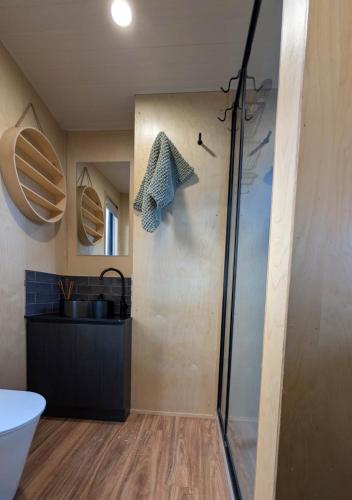 a bathroom with a shower and a sink at Nine77 - Tiny Home Retreat in Esperance