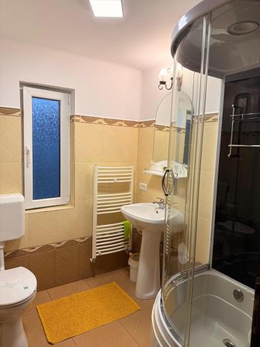 a bathroom with a shower and a sink and a toilet at Pensiunea Ana in Ceahlău
