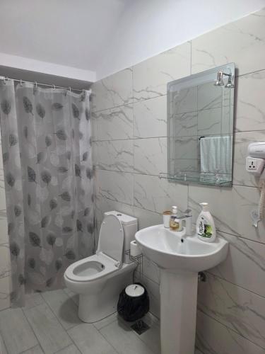 a bathroom with a toilet and a sink and a mirror at Vila Arbër 7 in Pogradec