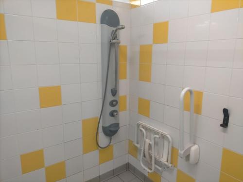 a shower with a shower head in a bathroom at Bateau SKAMP in Mâcon