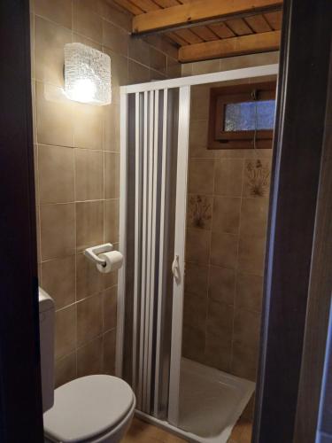 a bathroom with a shower with a toilet and a sink at LOCANDA Alla Paia in Pracul