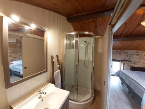 a bathroom with a shower and a sink at LA PASSIFLORE in Azé