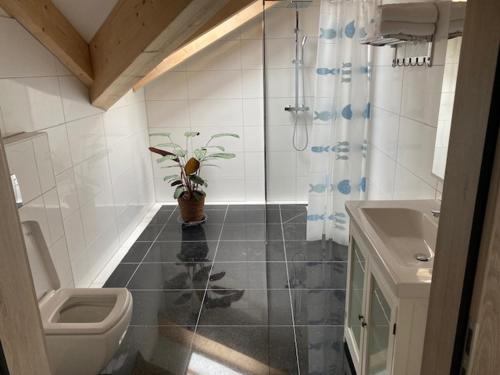 a bathroom with a toilet and a sink with a plant at HotelPension Weberhof in Ebersberg