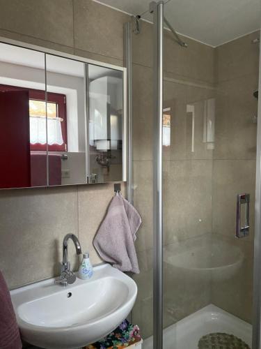 a bathroom with a sink and a shower at Wassermühle in Rheine
