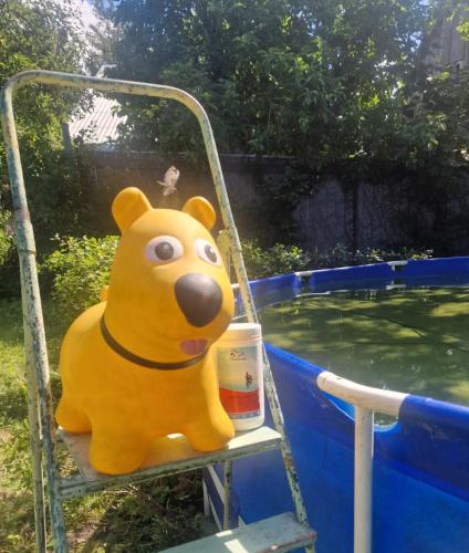 a teddy bear sitting on a chair next to a pool at Tentu Tentu, Babushtent in Ventspils