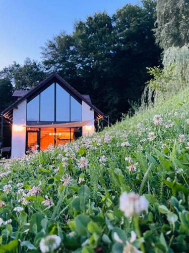 a house on a hill with a field of flowers at Joli Chalet in Râşnov