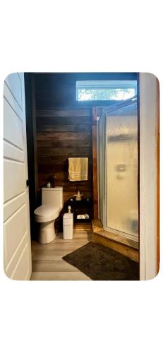 a bathroom with a shower and a toilet at Chalet Havana in Namur