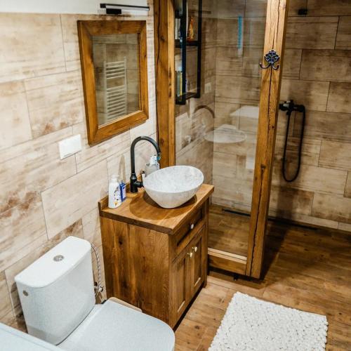 a bathroom with a toilet and a sink and a shower at Chata na samote in Revúca