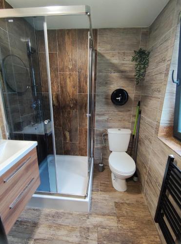 a bathroom with a toilet and a shower at Chata Bosorečka in Smižany