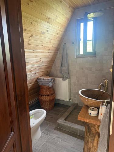 a bathroom with a sink and a toilet at Cabanele din RÂTUL FLORILOR in Hotar