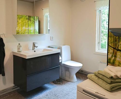 a bathroom with a sink and a toilet and a mirror at Solkullen i Kalvshult in Hallaryd