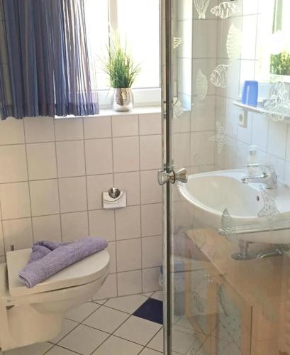 a bathroom with a toilet and a sink at Residenz Seelust in Langeoog