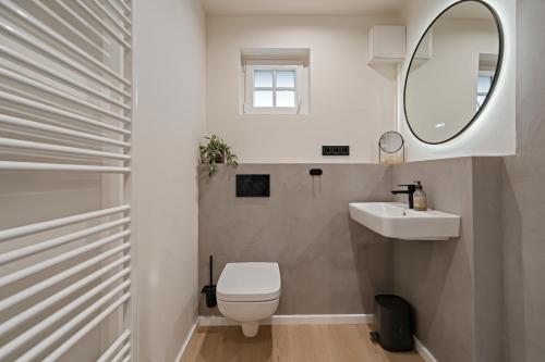 a bathroom with a toilet and a sink and a mirror at Nordseebude Strandnest in Sankt Peter-Ording