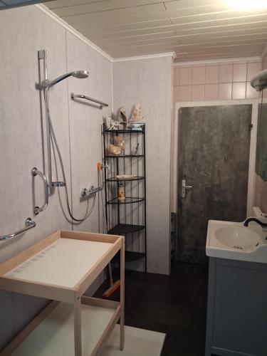 a bathroom with a shower and a sink at Ferienwohnung Friedel und Käthe in Oberthal