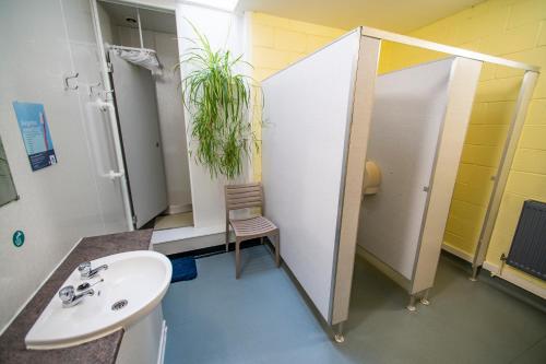 a bathroom with a sink and a toilet and a plant at Torridon Youth Hostel in Torridon