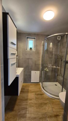 a bathroom with a shower and a toilet and a sink at Malownicza Dolina in Wapnica