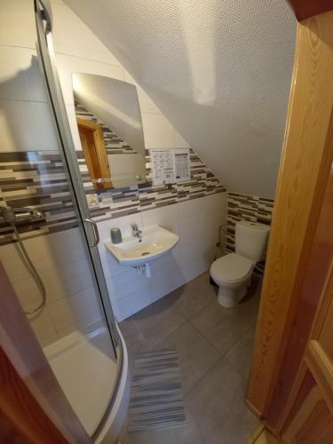a bathroom with a sink and a toilet at Pod lasem dom letniskowy in Majdan Sopocki