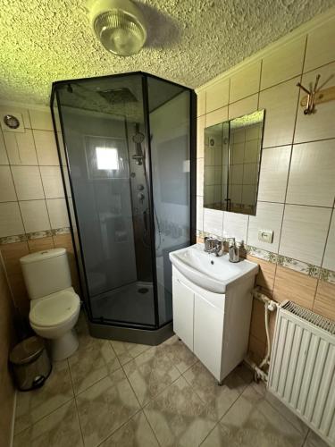 a bathroom with a shower and a toilet and a sink at HOUSE Mold in Lazeshchyna